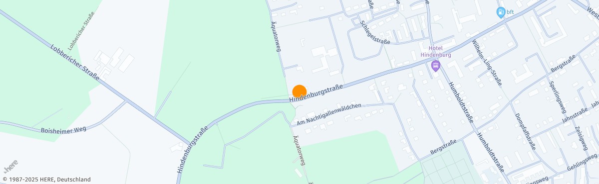 Susanne Schneider, Heilpraktiker*in